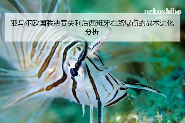亚马尔欧国联决赛失利后西班牙右路爆点的战术进化分析